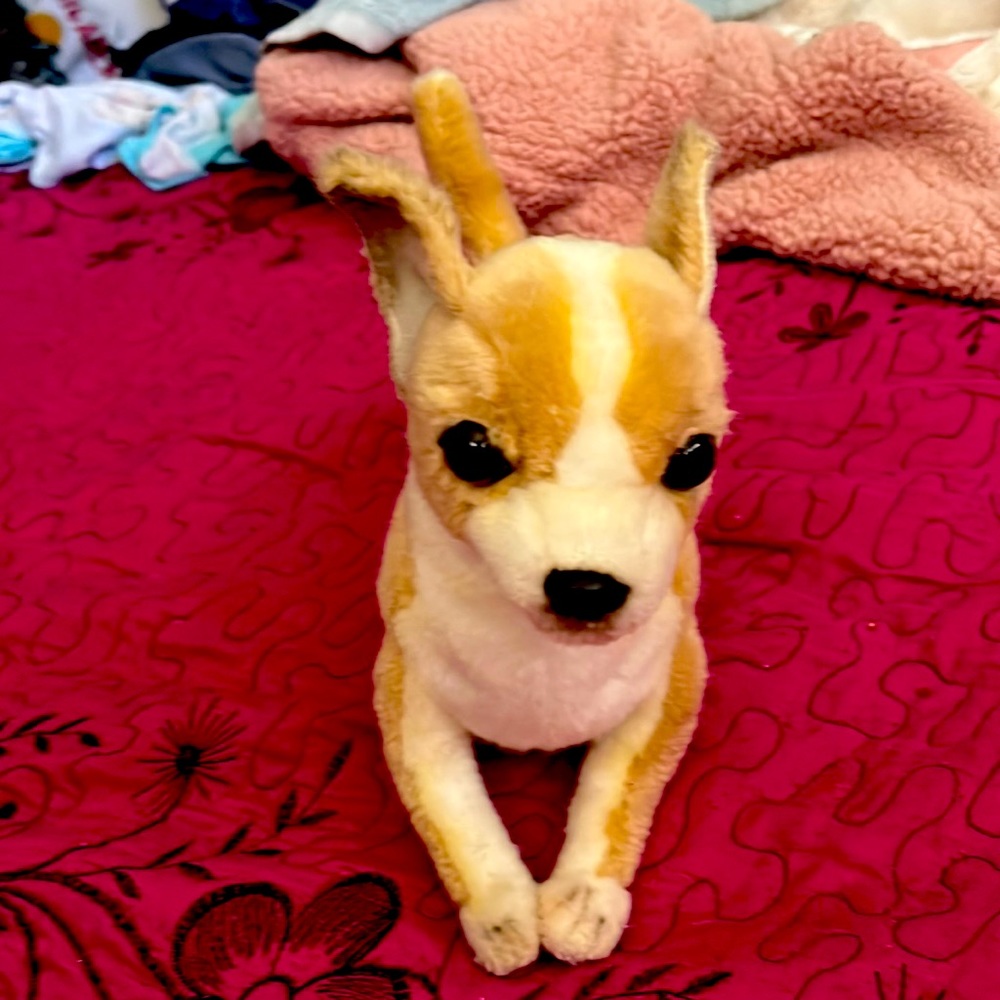Dog toy